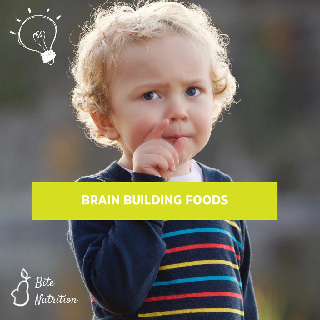 Brain Development in the First 1000 Days