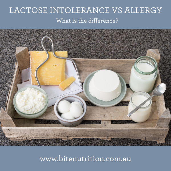 Lactose Intolerance vs Dairy Allergy Bite Nutrition