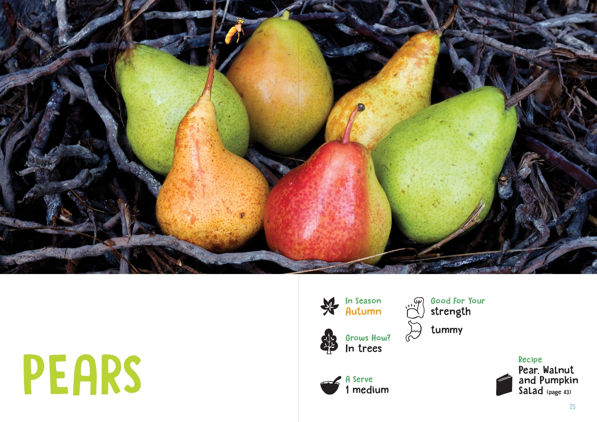 Feeding Growing Humans Beautiful Yummy Food - Fruit &