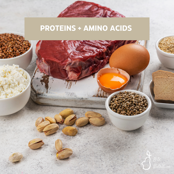 Proteins and Amino Acids - Building Blocks of Life - Bite Nutrition