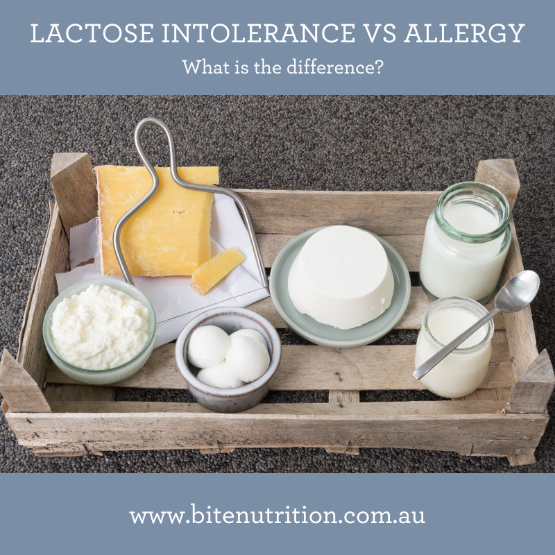 Lactose Intolerance vs allergy