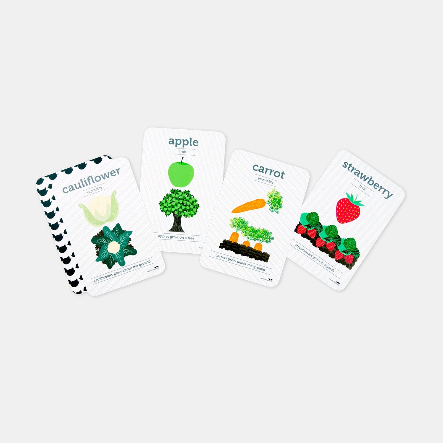 Australian Made Fruit and Vegetable Flash Cards - Education