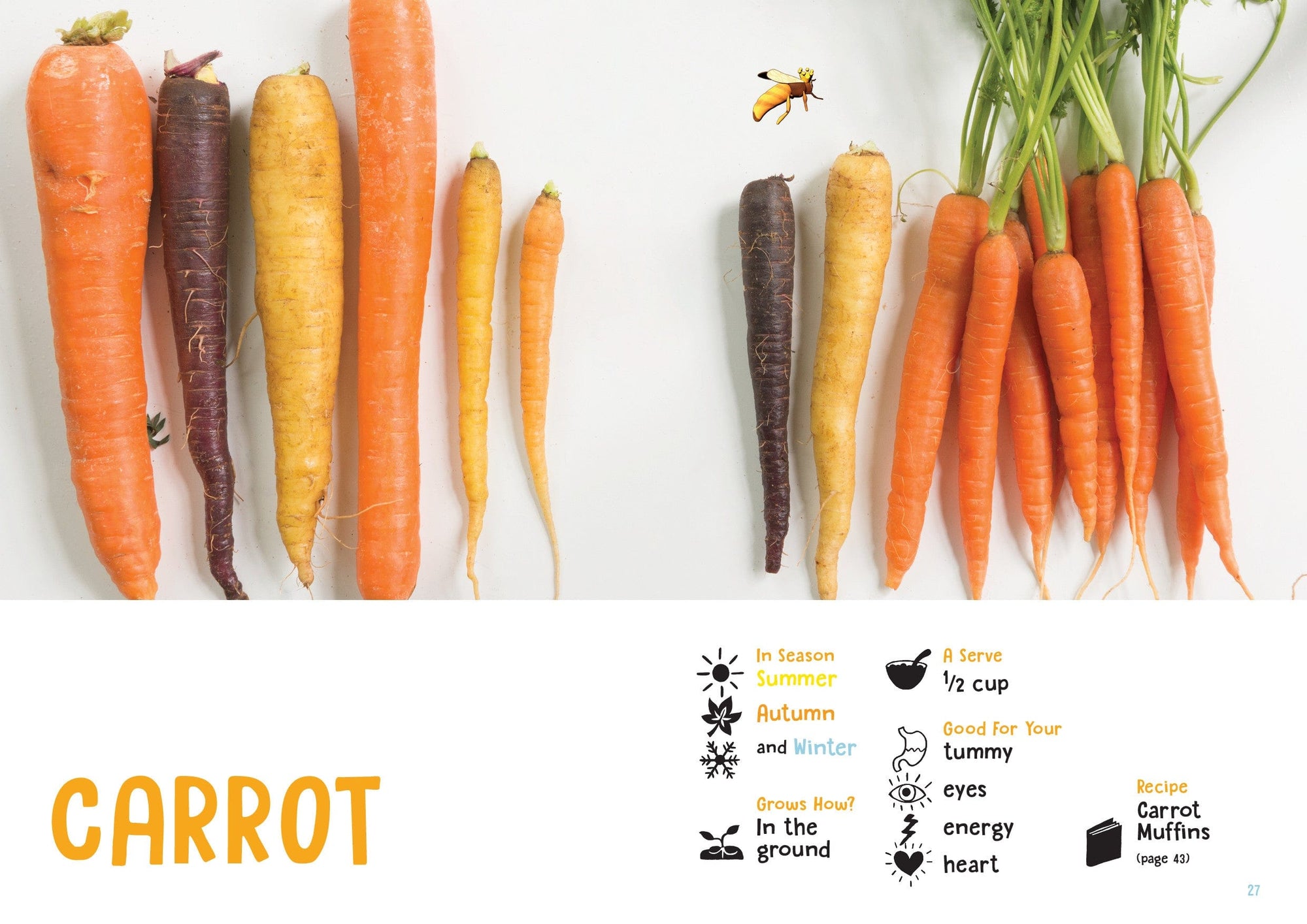 Carrots health benefits